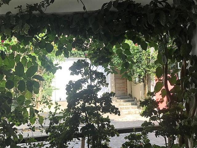 Apartamento Com 2 Quartos No Centro De Pipa Praia de Pipa Exterior foto